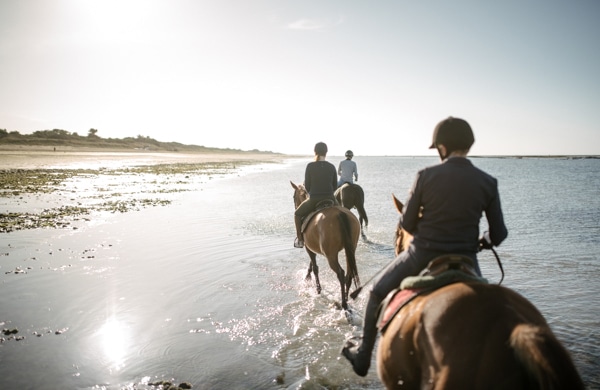balade à cheval sur le littoral de Charentes