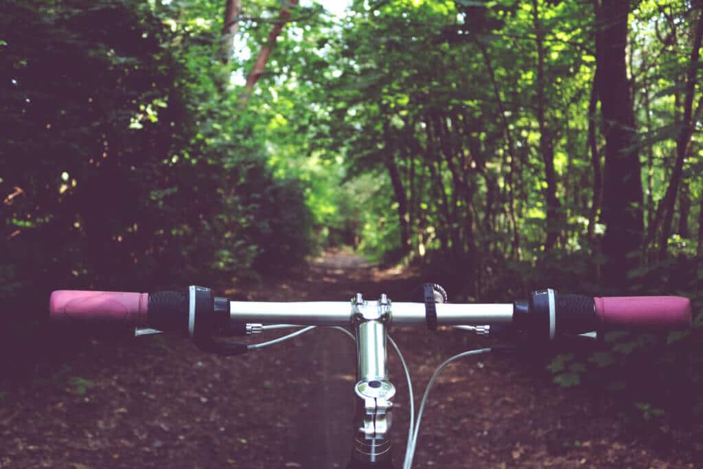 vélo en forêt